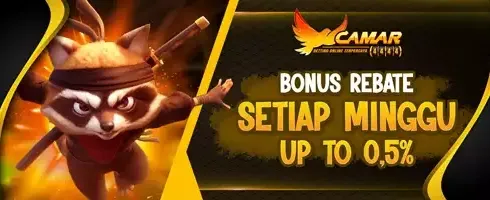 Weekly Rebate Slot VIP promotion